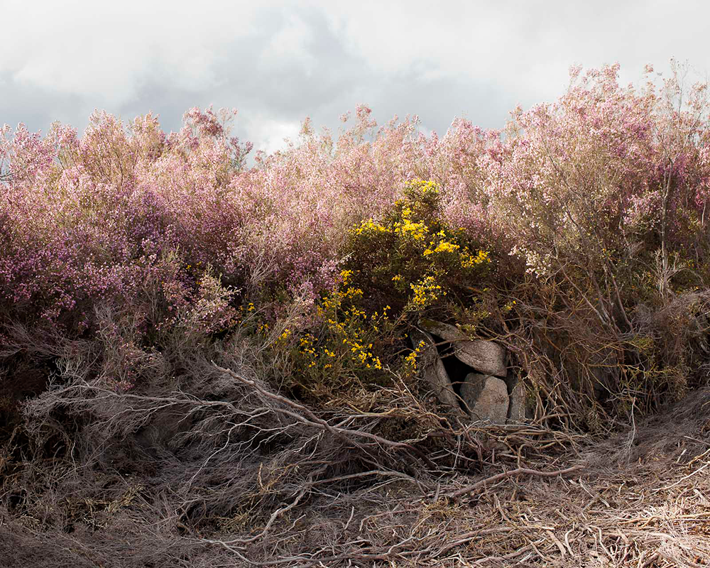 Paul Gaffney, from the series 'We Make the Path by Walking', 2012